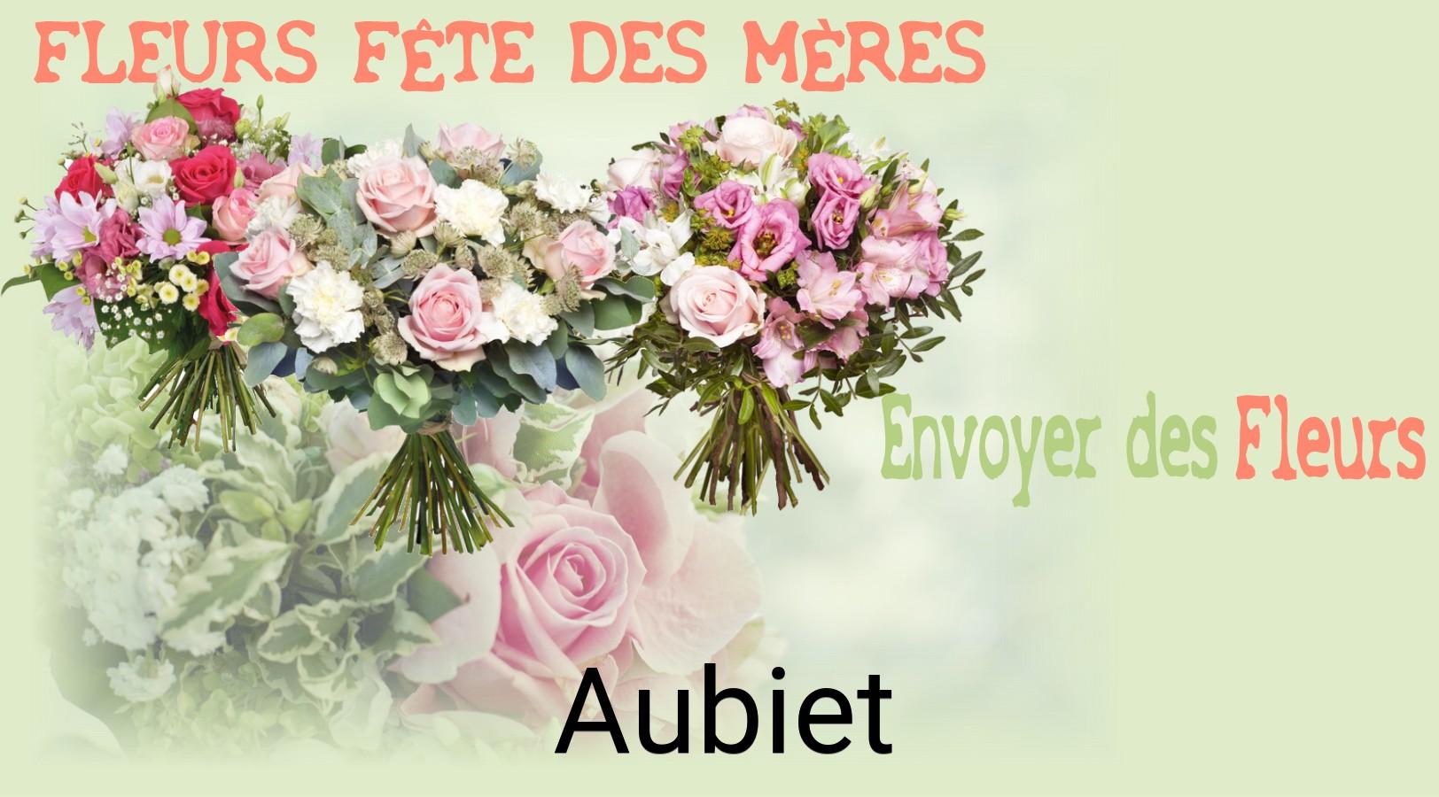 Bouquet de Fête des Mères livré à Aubiet